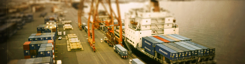 Sevices - McCallum Cargo Sri Lanka